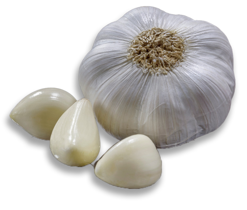 variedades ajo pelado